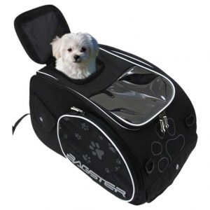 Bagster Puppy