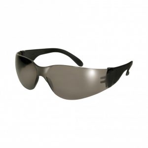 Global Vision Pro Rider